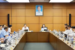 At a group discussion in Hanoi on October 19 (Photo: VNA)