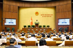 Authorised by the Prime Minister, Minister of Justice Hoang Thanh Tung presents proposals on the draft revised Law on Asset Auction, the draft revised Law on Lawyers and the draft revised Law on Adoption (Photo: VNA)