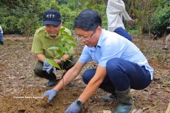 Attendees take part in planting trees at the Cuc Phuong National Park. (Photo: VNA)