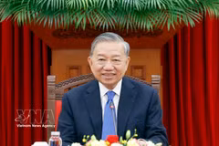 General Secretary of the Communist Party of Vietnam Central Committee and President To Lam (Photo: VNA)