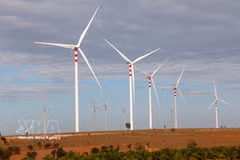 A wind power project in Lam Dong province. (Photo: VNA)
