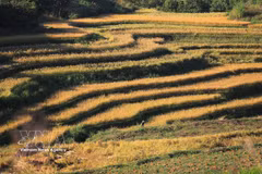 The Mien Doi terraced fields stretch across the hillsides in Thuong Coc commune (Photo: VNA)