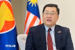 Malaysian Ambassador to Vietnam Dato' Tan Yang Thai. (Photo: VNA)
