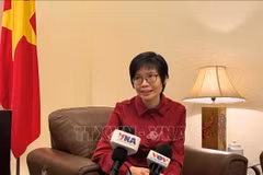 Ambassador Ton Thi Ngoc Huong, Permanent Representative of Vietnam to ASEAN. (Photo: VNA)