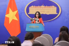 Spokeswoman of the Ministry of Foreign Affairs Pham Thu Hang speaks at the press briefing (Photo: VNA)