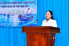 Quach Thi Thanh Binh, Deputy Director of Can Tho Department of Agriculture and Development, speaks at the conference. (Photo published by VNA)