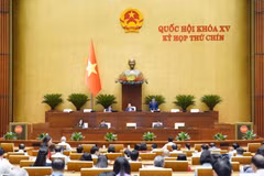 An overview of the 15th NA's 9th session. (Photo: VNA)