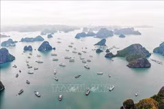 A view of Ha Long Bay in Quang Ninh province (Photo: VNA)