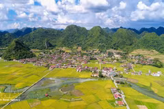 Green and immersive: Vietnam’s community tourism villages offer a slower way to travel