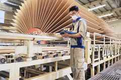 MDF wood production at Quang Tri Wood Company (Photo published by VNA)