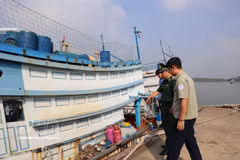 Fisheries authorities, border guards and local officials in Phuoc Thang ward inspect fishing vessels docked at the Cat Lo fishing port. (Photo: VNA)