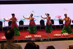 A lotus dance performance by artists from the VietAus Cultural Exchange Organisation - VACEO delighted international guests. (Photo: VNA)