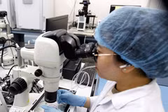 Experts may also qualify by being the author or co-author of an invention protected by intellectual property rights and applied in practice. (Photo: VNA)