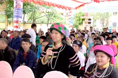 Illustrative image (Photo: VNA)