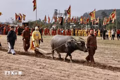 At Doi Son ploughing festival (Photo: VNA)