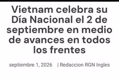 The article by Pedro Gellert (Photo: Screenshot)