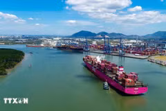 Tan Cang - Cai Mep international port (Photo: VNA)
