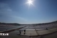 Sa Huynh’s salt fields in Quang Ngai province (Photo published by VNA)