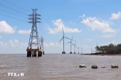 Ca Mau province’s coastal areas offer favourable conditions for renewable energy development. (Photo: VNA)