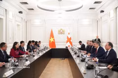 Georgian President Mikheil Kavelashvili receives Vietnamese Vice President Vo Thi Anh Xuan. (Photo: VNA)