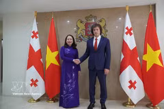 Vice President Vo Thi Anh Xuan and Georgian Prime Minister Irakli Kobakhidze meet in Tbilisi on October 12, 2026. (Photo: VNA)