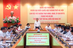 An overview of the working session (Photo: VNA)