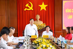 Standing Deputy PM Pham Gia Tuc speaks at the working session (Photo: VNA)