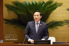National Assembly Vice President Nguyen Khac Dinh precides over the discussion (Photo: VNA)