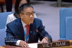 Minister Counsellor Nguyen Hai Luu, Deputy Permanent Representative of Vietnam to the United Nations (Photo: VNA)
