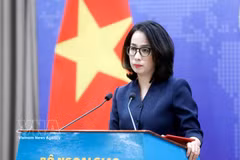 Vietnam resolved to prevent origin fraud, illegal transshipment: spokesperson