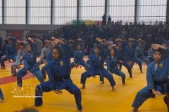 A Vovinam performance at the 7th Vovinam World Championships in Paris. (Photo: VNA)