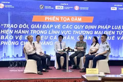 Panellists at the conference (Photo: VNA)