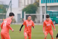 Illustrative image (Photo: vff,org.vn)
