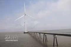 Wind turbines in Ca Mau province operate with a total capacity of over 1,610 MW per year. (Photo: VNA) 