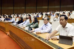 The resolution receives 407 votes in favour out of 423 deputies, equivalent to 85.15% of the total NA lawmakers. (Photo: VNA)