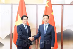 Deputy Prime Minister Mai Van Chinh (L) meets with Chinese Vice President Han Zheng in Nanning city on September 16, 2025. (Photo: VNA)