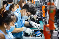Assembling electronic equipment at Datalogic Vietnam Factory - an FDI enterprise specialising in manufacturing barcode scanners and high-tech sensors in Saigon High-Tech Park (Source: sggp.org.vn)