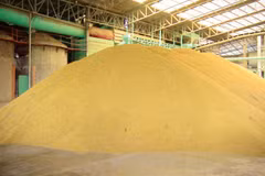A stockpile of rice in storage. (Photo: Bangkokpost.com) 