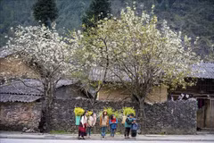 With its pristine natural beauty and rich ethnic heritage, Ha Giang aims to welcome around 3.5 million tourists in 2025. (Photo: VNA)