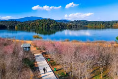 Pa Khoang Lake in Dien Bien (Photo: VNA)