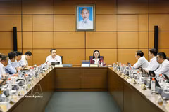In a NA group discussion on draft amendments to the Investment Law (Photo: VNA)