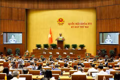 Minister of Culture, Sports and Tourism Lam Thi Phuong Thanh, ed by the Prime Minister, presents the proposal for the draft Law on the Development of Cultural Industries. (Photo: VNA)
