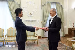Vietnamese Ambassador Nguyen Luong Ngoc presents his credentials to Iranian President Masoud Pezeshkian in Tehran on June 3 (Photo: VNA)