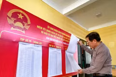 A voter carefully learns about candidates before the Election Day. (Photo: VNA)