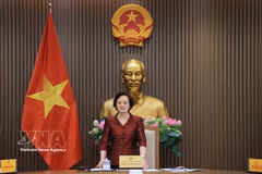 Deputy Prime Minister Pham Thi Thanh Tra speaks at the conference. (Photo: VNA)