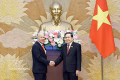 President of the National Assembly Tran Thanh Man (right) and Alberto Anaya Gutierrez, General Secretary of the Mexican Labour Party (PT), at their meeting in Hanoi on August 17 (Photo: VNA)