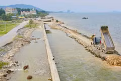 Thanh Hoa province is accelerating the upgrading of vulnerable dykes and embankments (Photo: VNA)