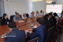 An overview of the meeting (Photo: VNA)