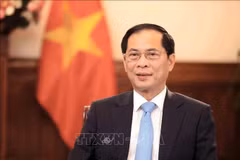 Deputy Prime Minister and Minister of Foreign Affairs Bui Thanh Son. (Photo: VNA)
