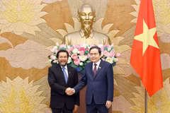 NA Chairman Tran Thanh Man (R) meets with Yorrys Raweyai, Deputy Speaker of the Regional Representative Council (DPD) of Indonesia, in Hanoi on July 10, 2025. (Photo: VNA)